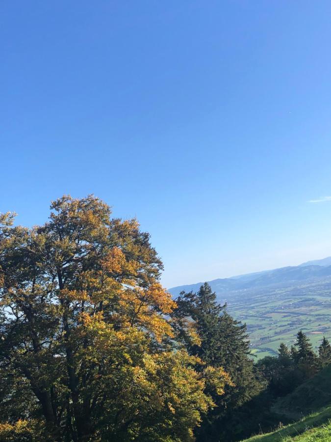 Montlinger Schwamm Hotel Oberriet Eksteriør billede