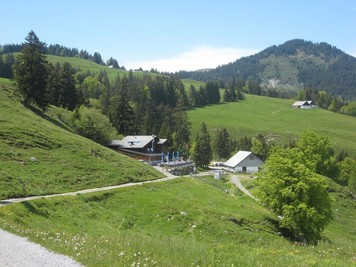 Montlinger Schwamm Hotel Oberriet Eksteriør billede